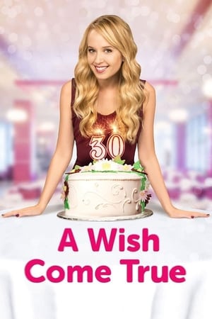 Nonton Online A Wish Come True (2015) indoxxi