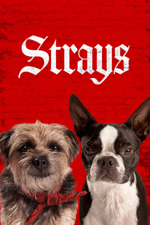 Nonton Online Strays (2023) indoxxi