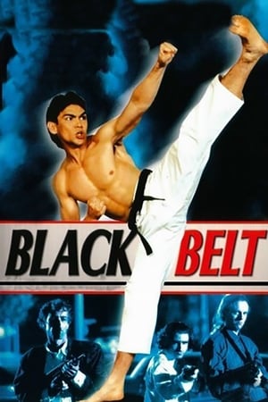 Nonton Online Blackbelt (1992) indoxxi