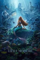 Nonton Online The Little Mermaid (2023) indoxxi