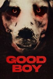 Nonton Online Good Boy (2022) indoxxi