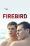 Nonton Online Firebird (2021) indoxxi