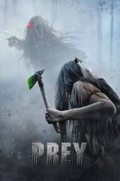 Nonton Online Prey (2022) indoxxi