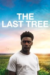 Nonton Online The Last Tree (2019) indoxxi