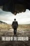 Nonton Online The Seed of the Sacred Fig (2024) indoxxi