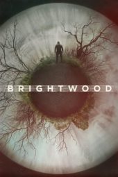 Nonton Online Brightwood (2022) indoxxi