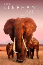 Nonton Online The Elephant Queen (2019) indoxxi